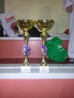 /album/tonreo-escolar-copa-cerrillos-taekwondo-wtf/a20150613-182843-jpg1/