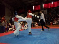 /album/tonreo-escolar-copa-cerrillos-taekwondo-wtf/a100-5913-jpg/