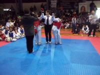 /album/tonreo-escolar-copa-cerrillos-taekwondo-wtf/a100-5906-jpg/