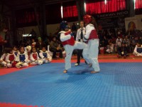 /album/tonreo-escolar-copa-cerrillos-taekwondo-wtf/a100-5914-jpg/