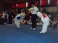 /album/tonreo-escolar-copa-cerrillos-taekwondo-wtf/a100-5926-jpg/