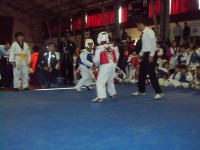 /album/tonreo-escolar-copa-cerrillos-taekwondo-wtf/a100-5928-jpg/