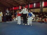 /album/tonreo-escolar-copa-cerrillos-taekwondo-wtf/a100-5936-jpg/