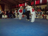 /album/tonreo-escolar-copa-cerrillos-taekwondo-wtf/a100-5938-jpg/