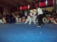 /album/tonreo-escolar-copa-cerrillos-taekwondo-wtf/a100-5940-jpg/