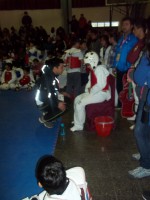 /album/tonreo-escolar-copa-cerrillos-taekwondo-wtf/a100-5941-jpg/